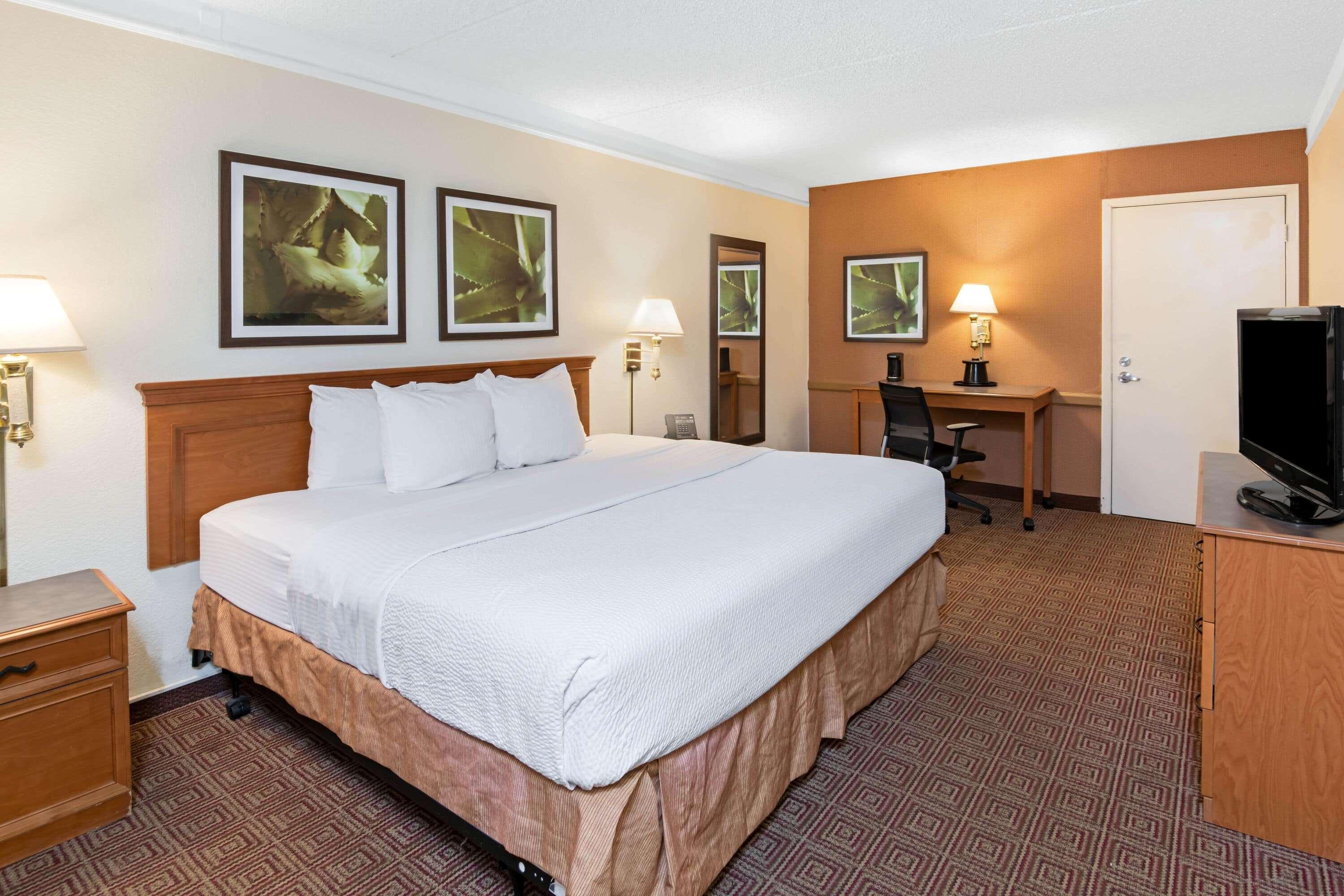 La Quinta Inn By Wyndham San Antonio Lackland Buitenkant foto